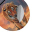Vincent Hie Rising Tiger Google Pixel Buds Skin